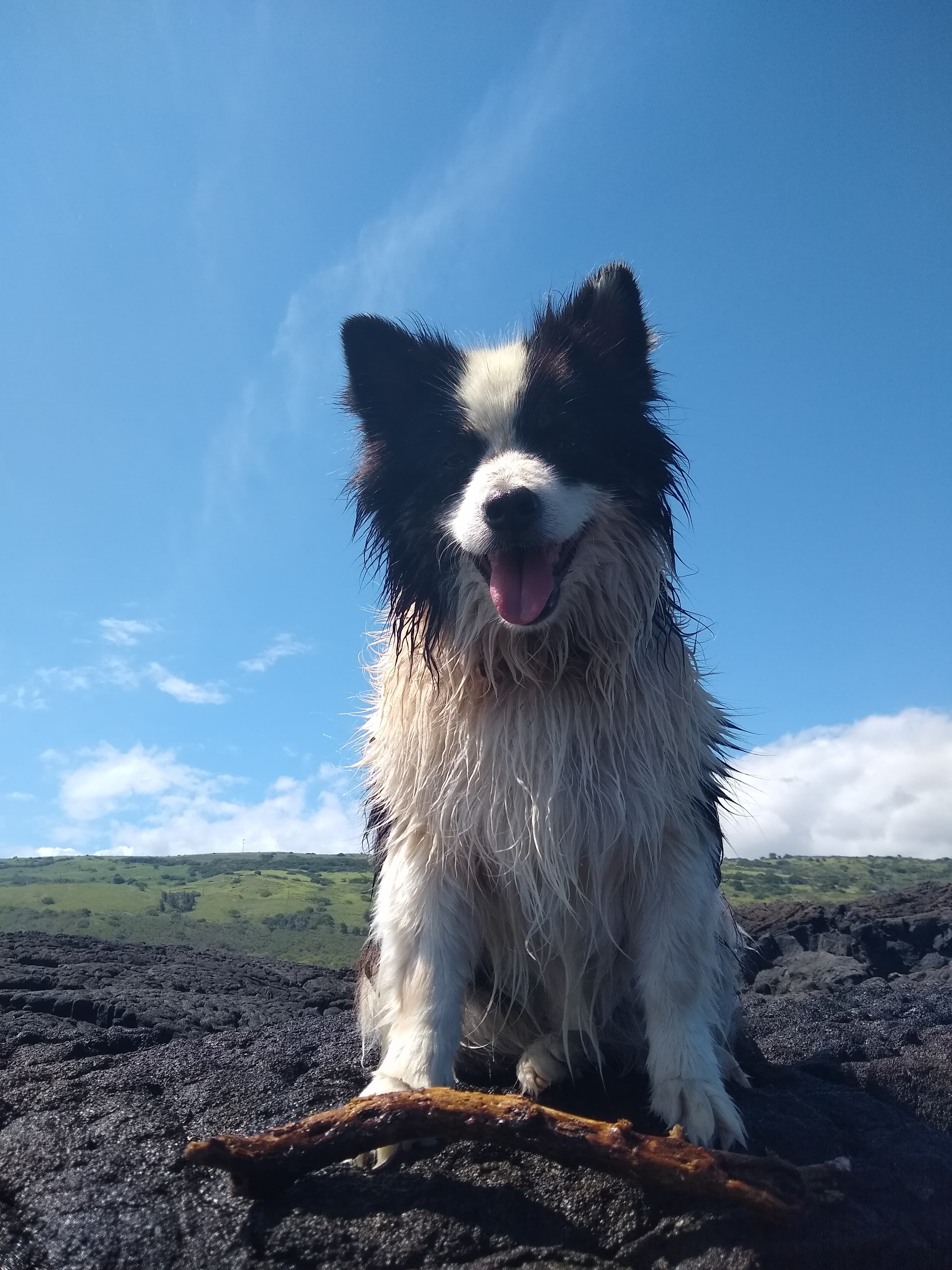 Happy Disa after a swim